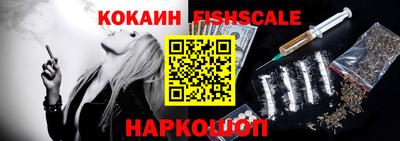 гидра Камышлов