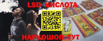 гидра Камышлов