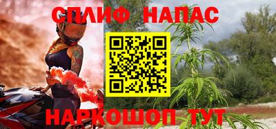 гидра Камышлов