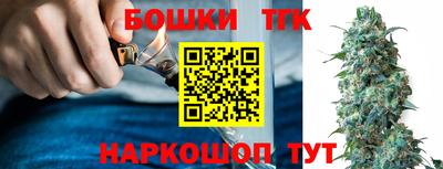 гидра Камышлов