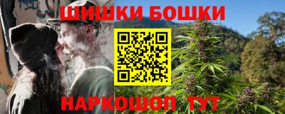 гидра Камышлов