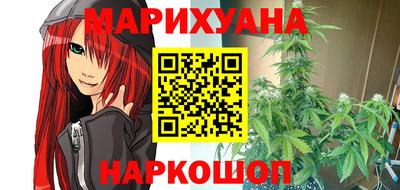 гидра Камышлов