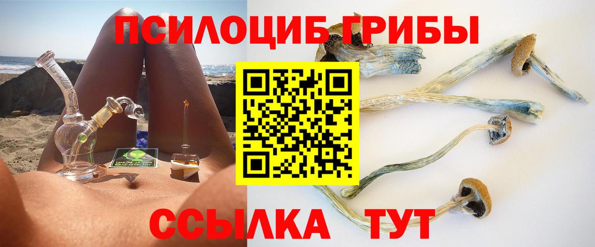 Каспийск  Псилоцибиновые грибы GOLDEN TEACHER  Галлюциногенные грибы GOLDEN TEACHER  Вход с VPN 